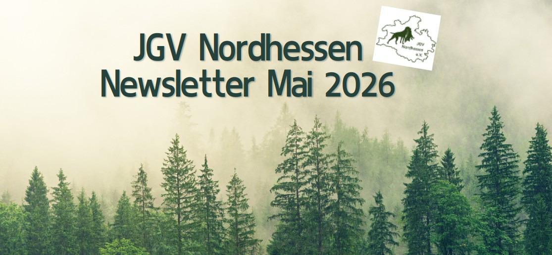 NL Mai 2026 Banner